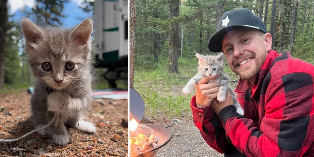 Couple Finds Purrfect Companion on the Road to Nature
